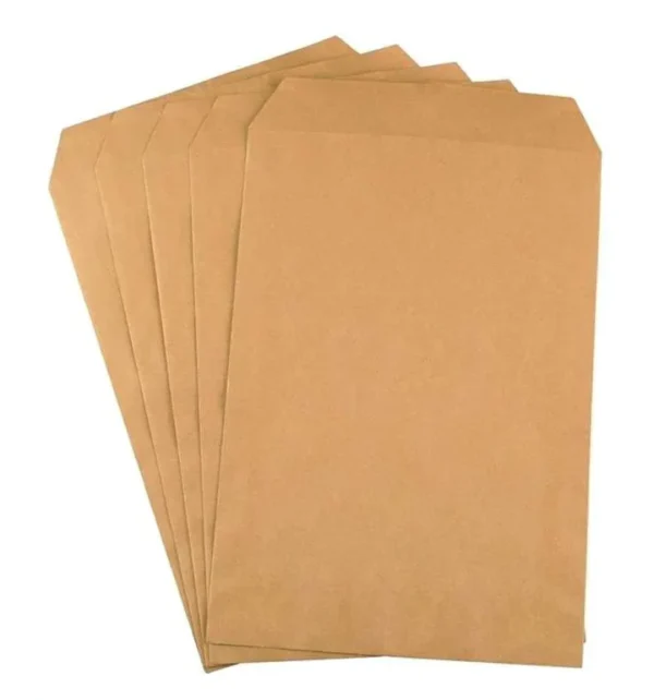 Brown Envelope A4 60g [RS][Pack of 100]